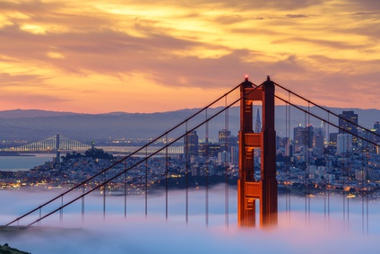 California government contracts attorney
